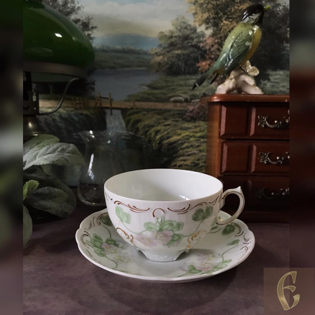 Чайная пара Rosenthal